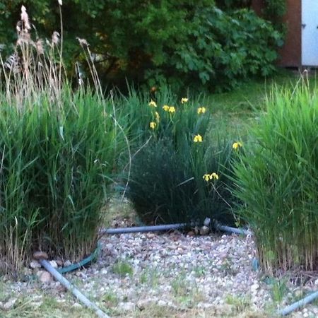Appartement Neuf & Ecologique A La Campagne Marzens Екстер'єр фото
